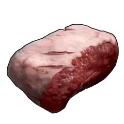 Raw Big Cat Meat