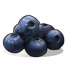 Blueberries Rust Item