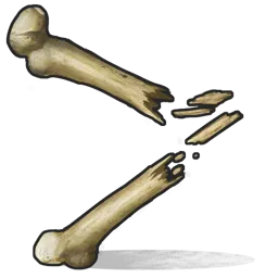 Bone Fragments