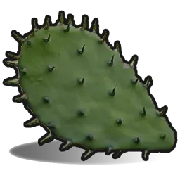 Cactus Flesh