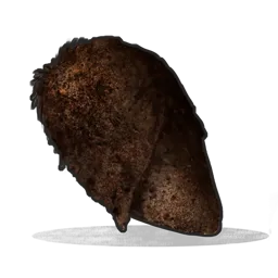 Burnt Chicken