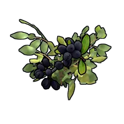 Black Berry Clone
