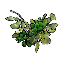 Green Berry Clone