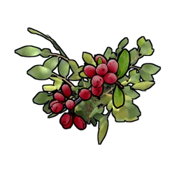 Red Berry Clone