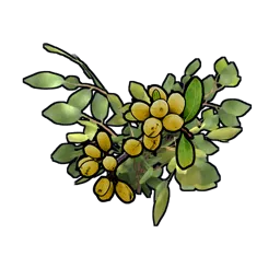 Yellow Berry Clone Rust Item