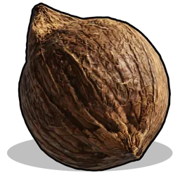 Coconut Rust Item