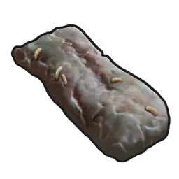 Spoiled Crocodile Meat