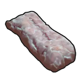 Raw Crocodile Meat