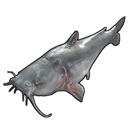 Catfish Rust Item