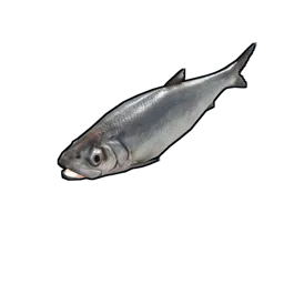 Herring Rust Item