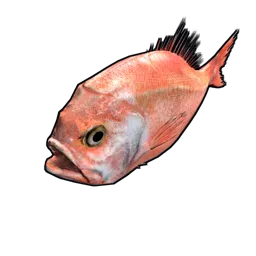 Orange Roughy Rust Item