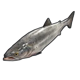Salmon Rust Item