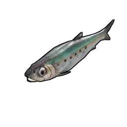 Sardine Rust Item