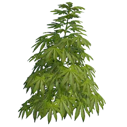 Hemp Rust Item