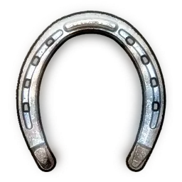 High Quality Horse Shoes