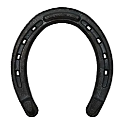 Basic Horse Shoes Rust Item