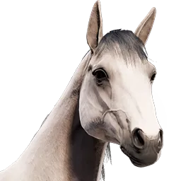 Horse Rust Item