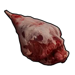 Raw Horse Meat