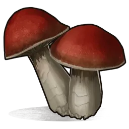 Mushroom Rust Item
