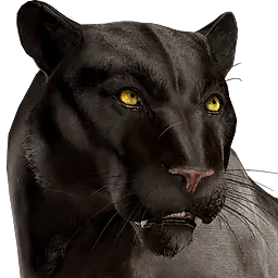 Panther Rust Item