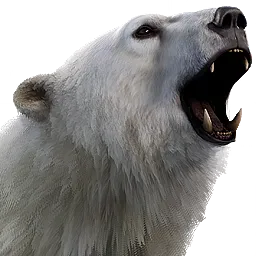 Polar Bear