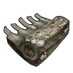 Spoiled Pork Meat