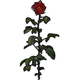 Rose (collectable)