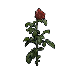 Rose Rust Item
