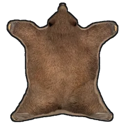 Rug Bear Skin