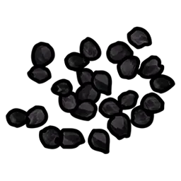 Black Berry Seed
