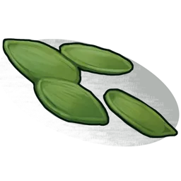 Hemp Seed