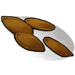 Pumpkin Seed Rust Item