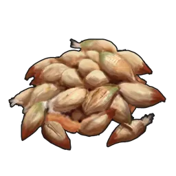 Rose Seed
