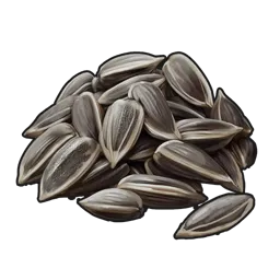 Sunflower Seed Rust Item