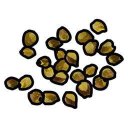 Yellow Berry Seed