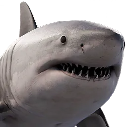 Shark