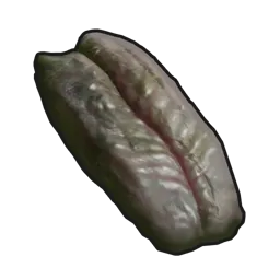 Spoiled Snake Meat
