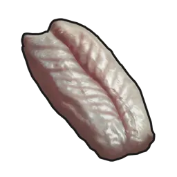 Raw Snake Meat