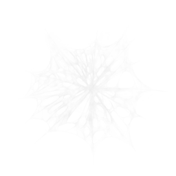 Spider Webs