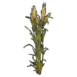 Wheat (collectable)
