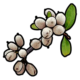 White Berry Rust Item